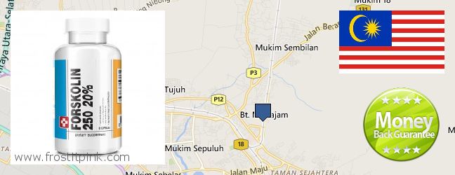 Where Can I Purchase Forskolin Extract online Bukit Mertajam, Malaysia