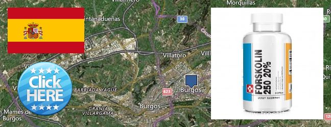 Where Can I Buy Forskolin Extract online Burgos, Spain