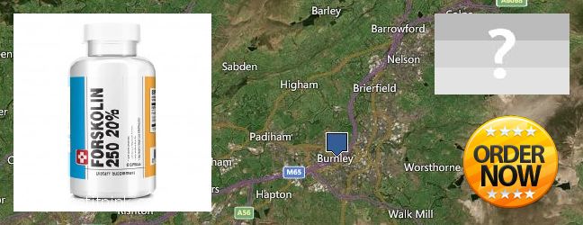 Where to Buy Forskolin Extract online Burnley, UK