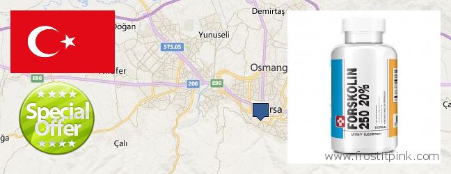 Where to Purchase Forskolin Extract online Bursa, Turkey