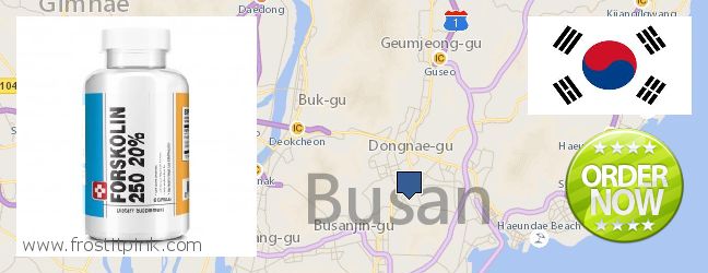 Where to Buy Forskolin Extract online Busan, South Korea