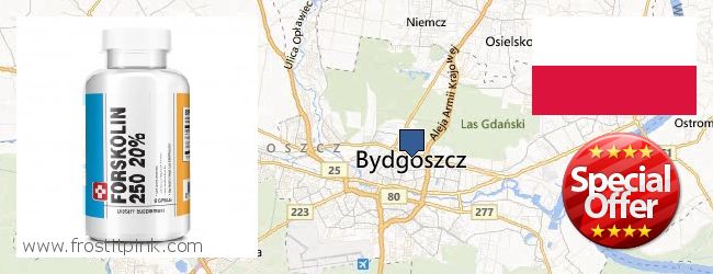 Best Place to Buy Forskolin Extract online Bydgoszcz, Poland