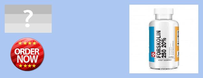 купити Forskolin онлайн Cacak, Serbia and Montenegro Де купити Forskolin онлайн Cacak, Serbia and Montenegro