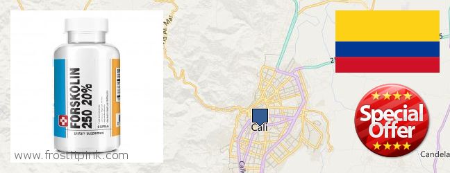 Dónde comprar Forskolin en linea Cali, Colombia