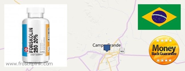 Where to Buy Forskolin Extract online Campo Grande, Brazil