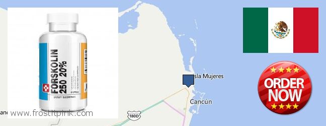 Dónde comprar Forskolin en linea Cancun, Mexico