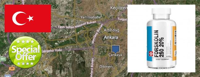 Where to Buy Forskolin Extract online Cankaya, Turkey