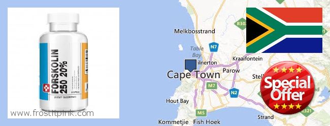 Buy Forskolin Extract online Cape Town, South Africa