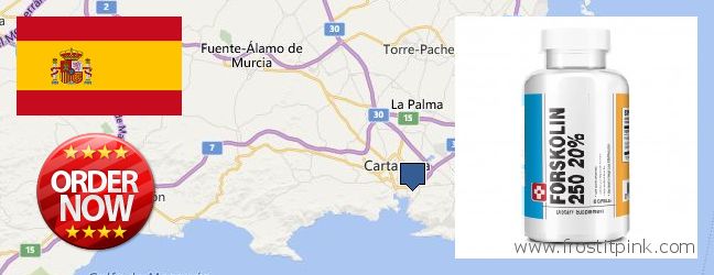 Where Can I Purchase Forskolin Extract online Cartagena, Spain