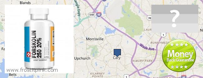 Къде да закупим Forskolin онлайн Cary, USA
