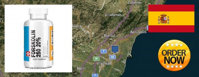 Where to Buy Forskolin Extract online Castello de la Plana, Spain