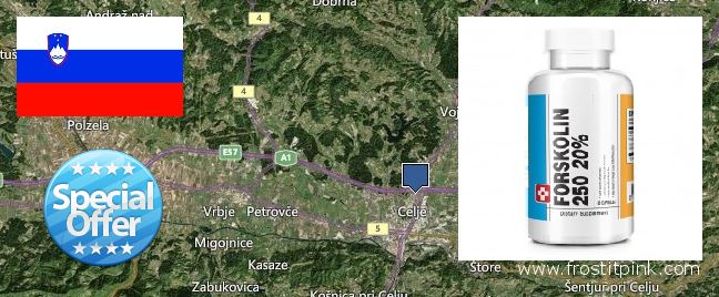 Dove acquistare Forskolin in linea Celje, Slovenia
