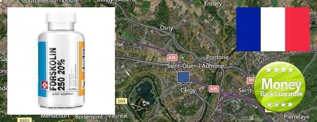 Where to Buy Forskolin Extract online Cergy-Pontoise, France