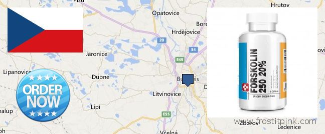 Where Can You Buy Forskolin Extract online Ceske Budejovice, Czech Republic