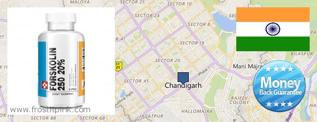 Purchase Forskolin Extract online Chandigarh, India Where to Buy Forskolin Extract online Chandigarh, India