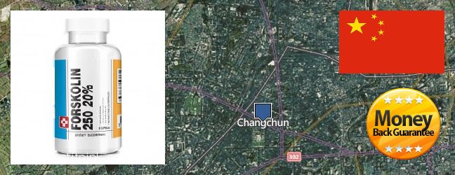 Where Can I Purchase Forskolin Extract online Changchun, China