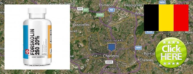 Where to Purchase Forskolin Extract online Charleroi, Belgium