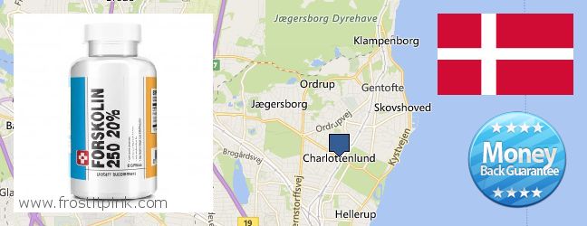 Wo kaufen Forskolin online Charlottenlund, Denmark