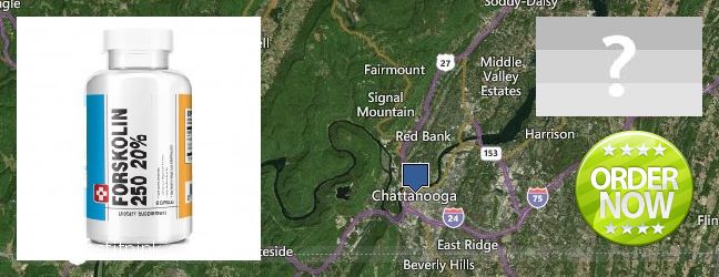 Hol lehet megvásárolni Forskolin online Chattanooga, USA