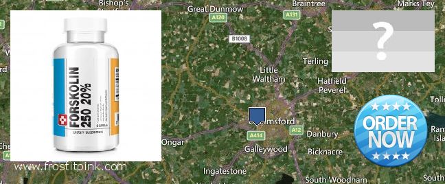 Where Can I Buy Forskolin Extract online Chelmsford, UK