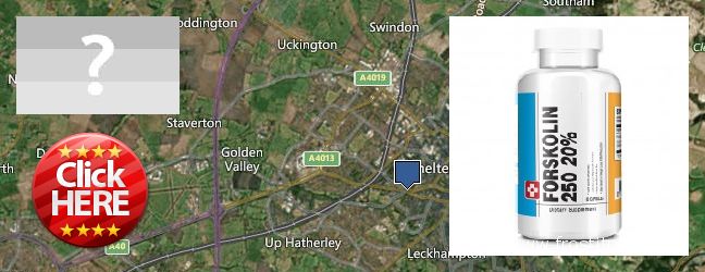 Where to Buy Forskolin Extract online Cheltenham, UK