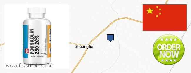 Purchase Forskolin Extract online Chengdu, China Where Can You Buy Forskolin Extract online Chengdu, China