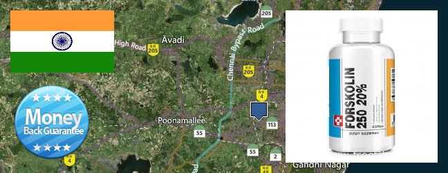 Buy Forskolin Extract online Chennai, India Where to Buy Forskolin Extract online Chennai, India