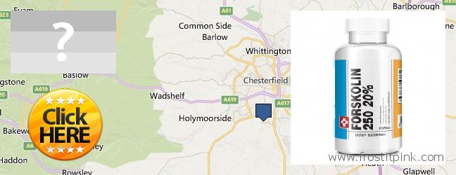 Dónde comprar Forskolin en linea Chesterfield, UK