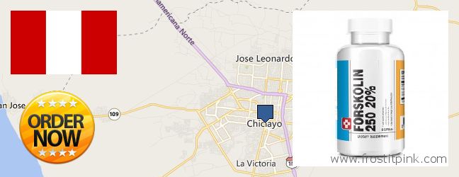 Where to Buy Forskolin Extract online Chiclayo, Peru