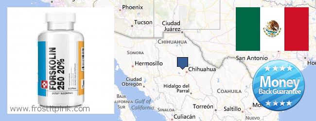 Buy Forskolin Extract online Chihuahua, Mexico Where to Buy Forskolin Extract online Chihuahua, Mexico