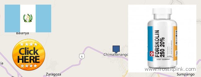 Where to Purchase Forskolin Extract online Chimaltenango, Guatemala