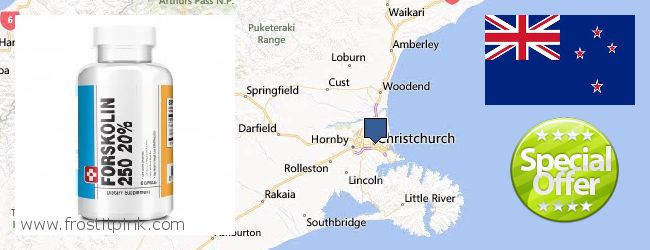 Purchase Forskolin Extract online Christchurch, New Zealand Where to Buy Forskolin Extract online Christchurch, New Zealand