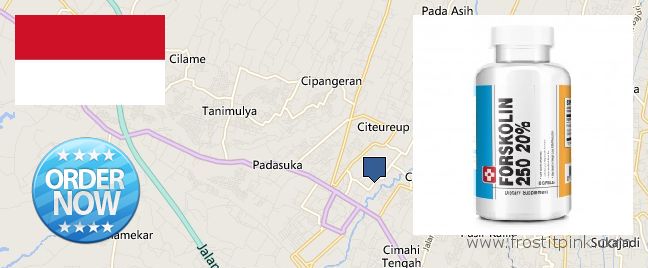 Where Can You Buy Forskolin Extract online Cimahi, Indonesia