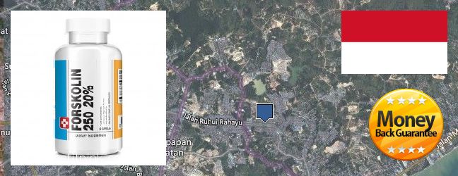 Where to Buy Forskolin Extract online City of Balikpapan, Indonesia