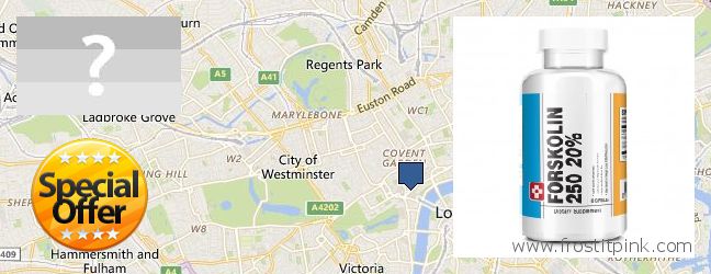 Where to Purchase Forskolin Extract online City of London, UK