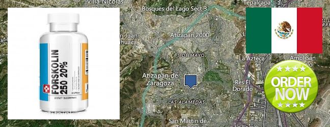 Purchase Forskolin Extract online Ciudad Lopez Mateos, Mexico