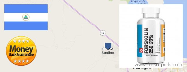 Where Can I Purchase Forskolin Extract online Ciudad Sandino, Nicaragua