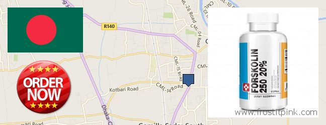 Buy Forskolin Extract online Comilla, Bangladesh Where Can I Purchase Forskolin Extract online Comilla, Bangladesh