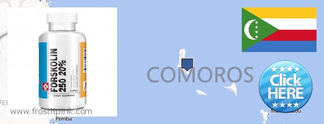 Buy Forskolin Extract online Comoros Where to Buy Forskolin Extract online Comoros