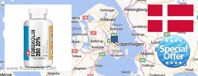 Wo kaufen Forskolin online Copenhagen, Denmark
