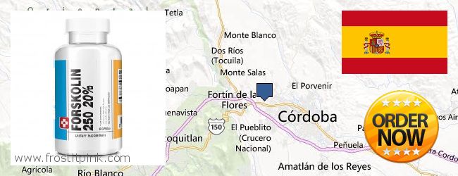 Buy Forskolin Extract online Cordoba, Spain