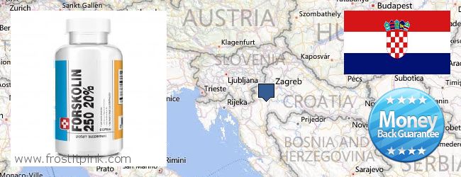 Purchase Forskolin Extract online Croatia Where to Purchase Forskolin Extract online Croatia
