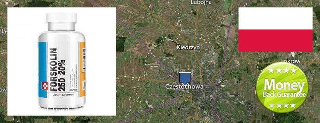 Purchase Forskolin Extract online Czestochowa, Poland