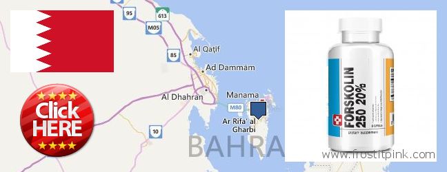 Where to Buy Forskolin Extract online Dar Kulayb, Bahrain