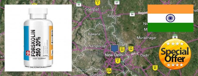Where Can I Buy Forskolin Extract online Delhi, India