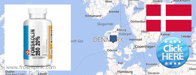 Where to Purchase Forskolin Extract online Denmark