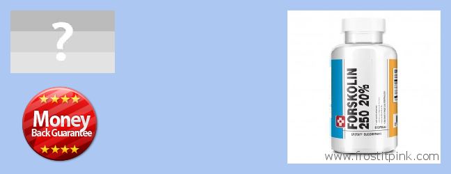 Purchase Forskolin Extract online Dibba Al-Fujairah, UAE