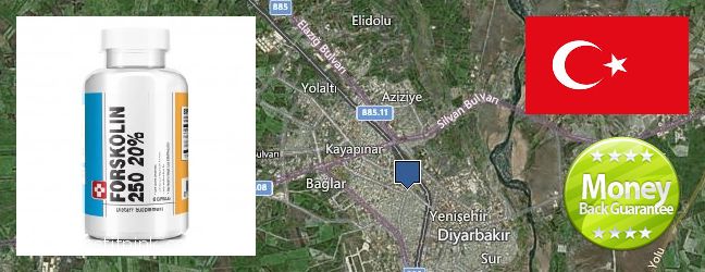 Best Place to Buy Forskolin Extract online Diyarbakir, Turkey