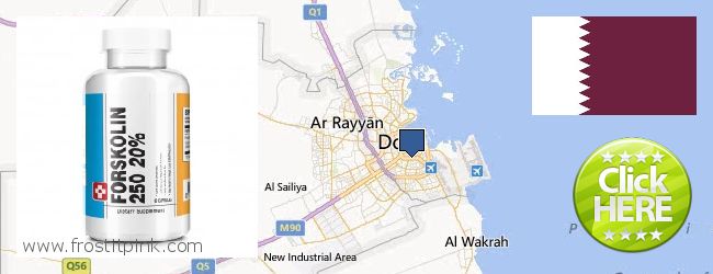 Purchase Forskolin Extract online Doha, Qatar