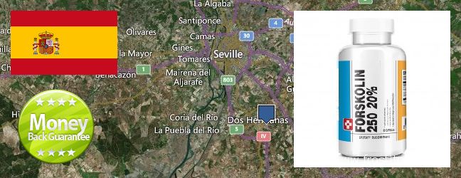 Buy Forskolin Extract online Dos Hermanas, Spain Where Can I Buy Forskolin Extract online Dos Hermanas, Spain